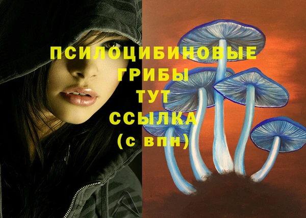 мет Аркадак
