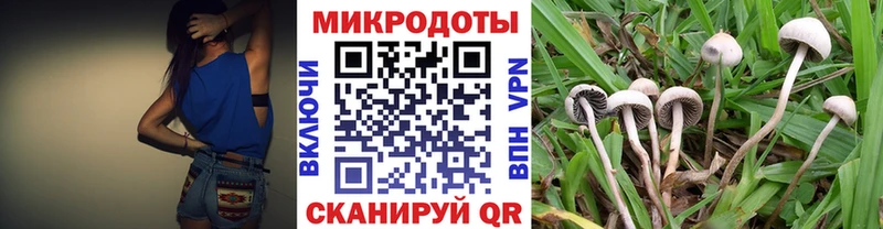 Псилоцибиновые грибы мицелий Моздок
